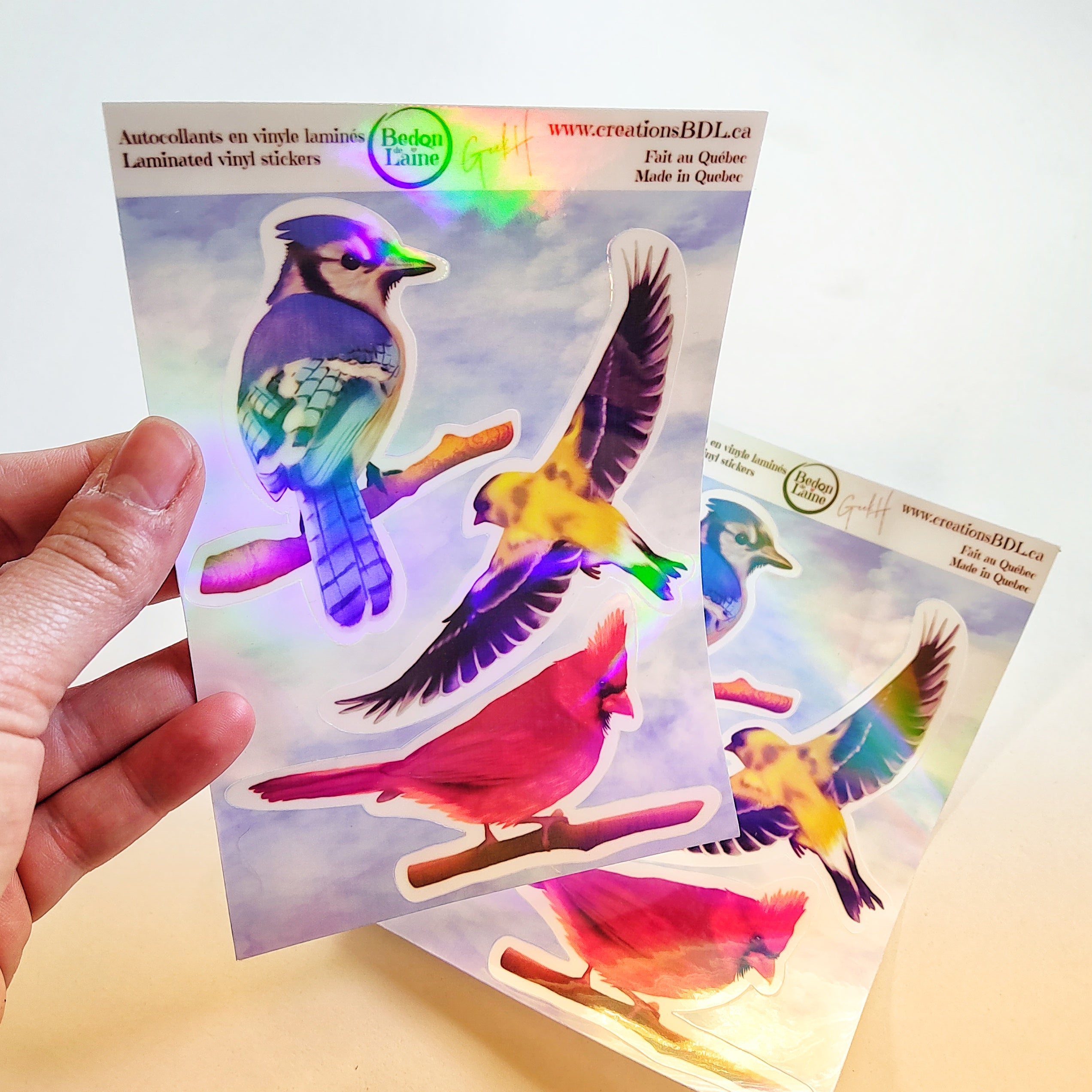 Feuille d'autocollants holographique en vinyle - Oiseaux du Québec